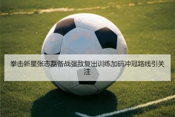 拳击新星张志磊备战强敌复出训练加码冲冠路线引关注